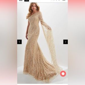 NWT Panoply Champagne Evening Gown